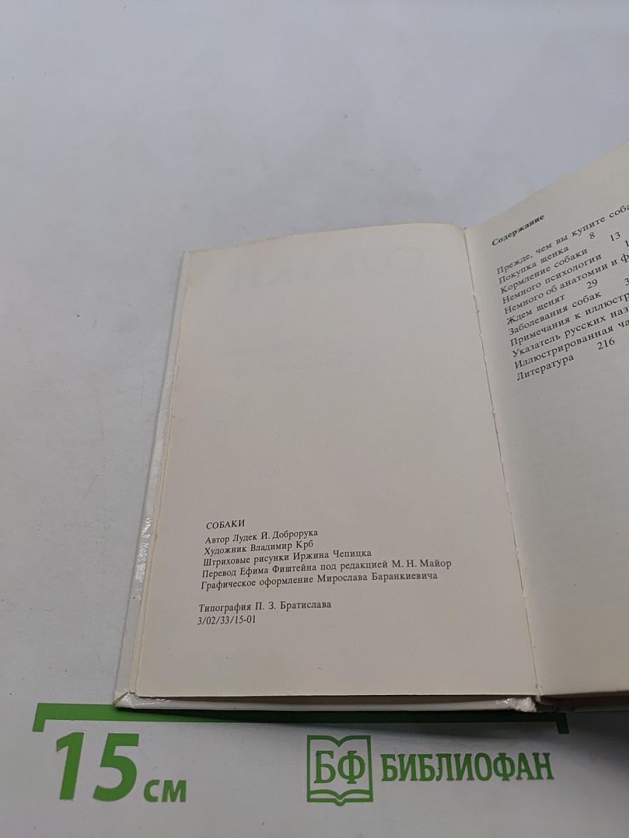 Собаки