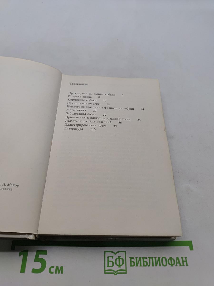 Собаки