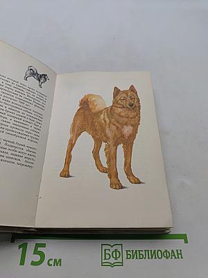 Собаки