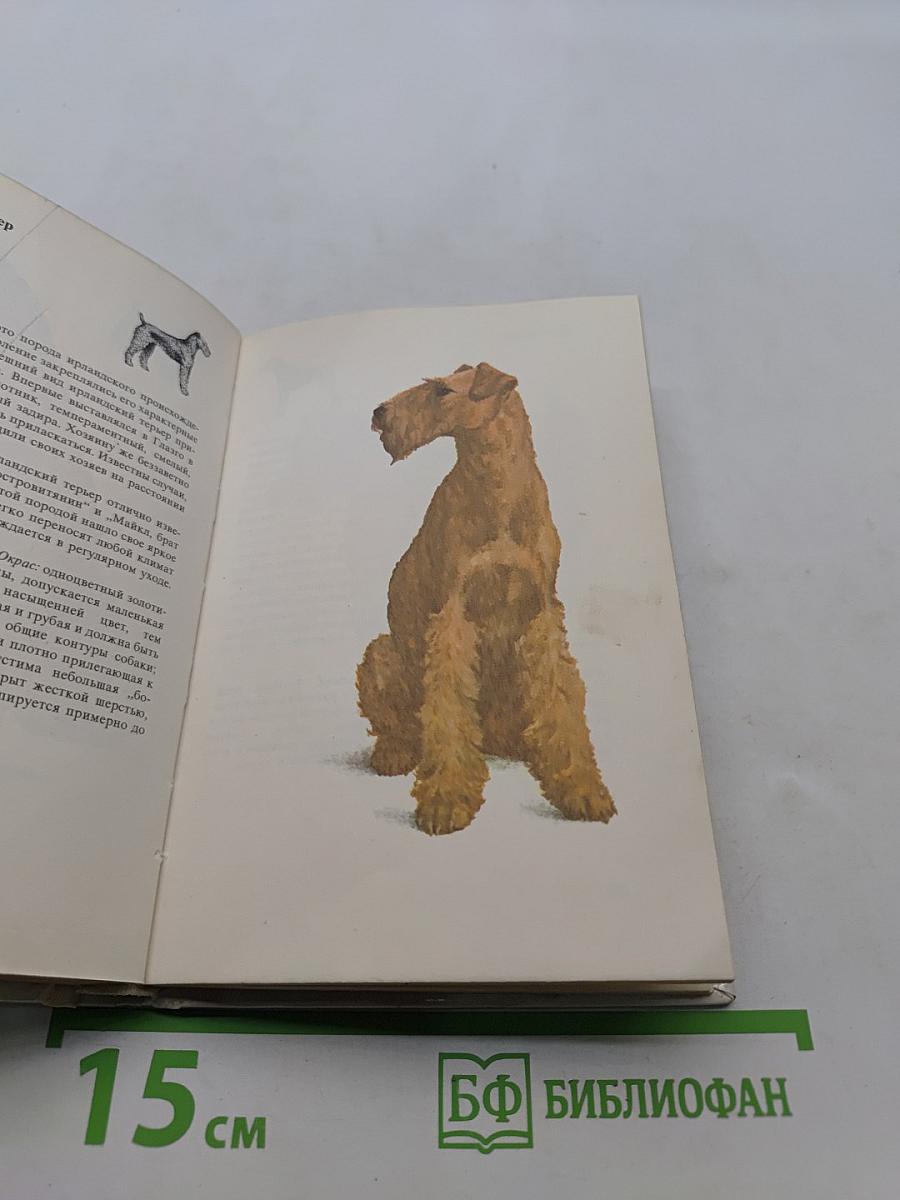 Собаки
