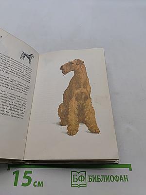 Собаки
