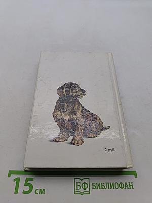 Собаки