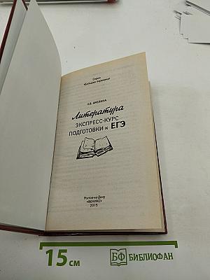 Литература. Экспресс-курс подготовки к ЕГЭ