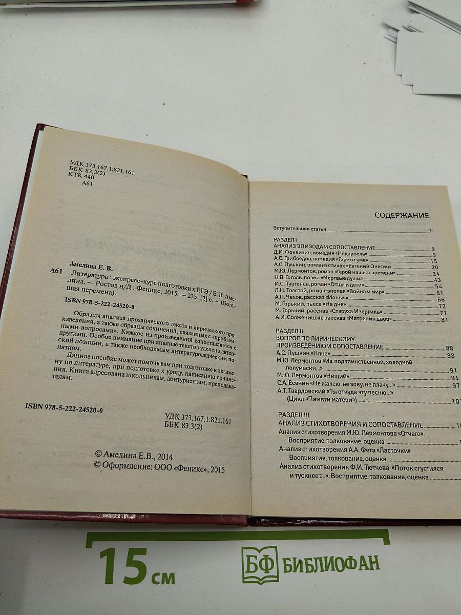 Литература. Экспресс-курс подготовки к ЕГЭ