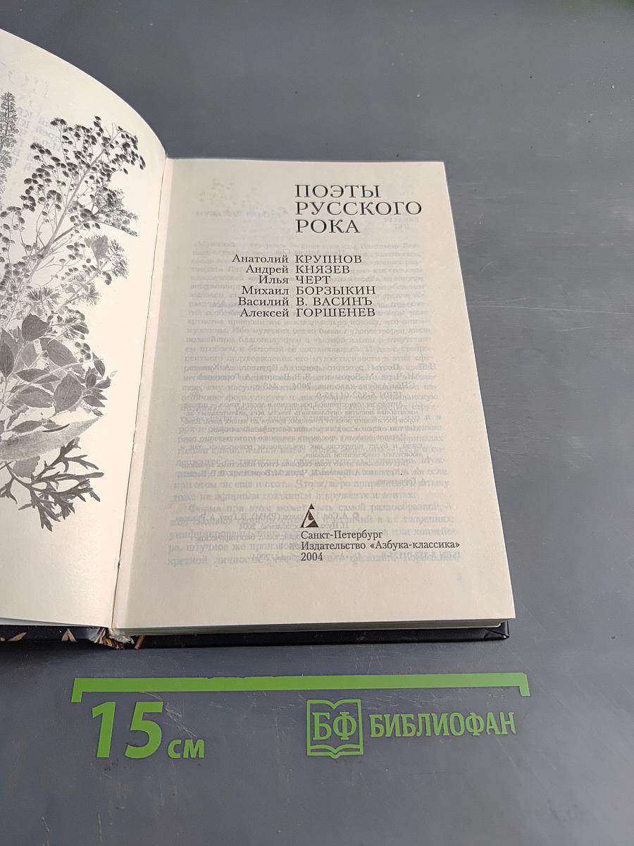 Поэты русского рока