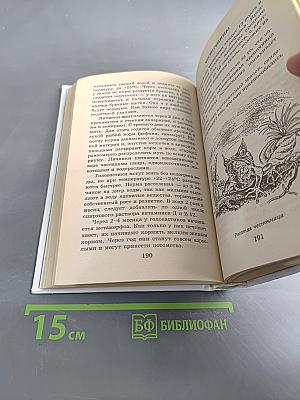 Я познаю мир. Амфибии
