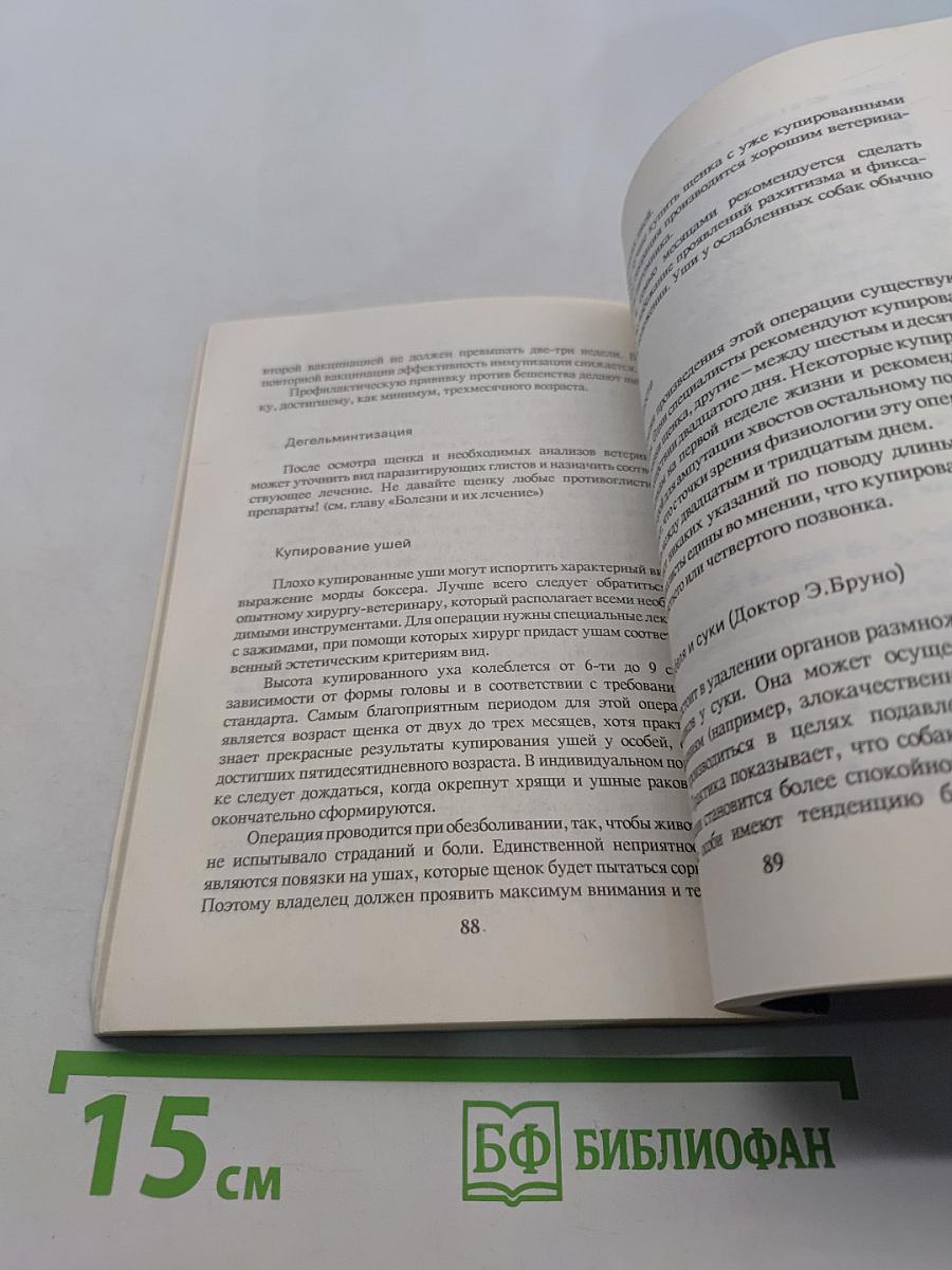 Боксер