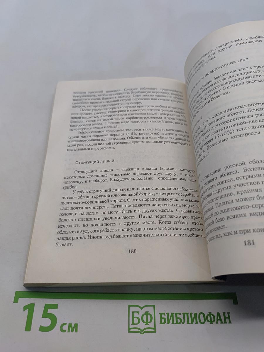 Боксер