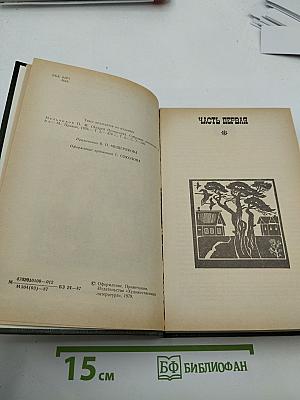 На горах. Книга первая