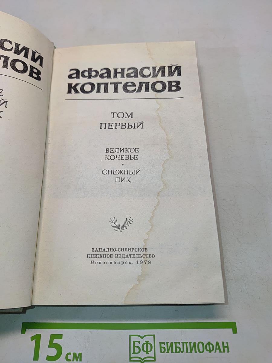 Великое кочевье. Снежный пик. Том первый