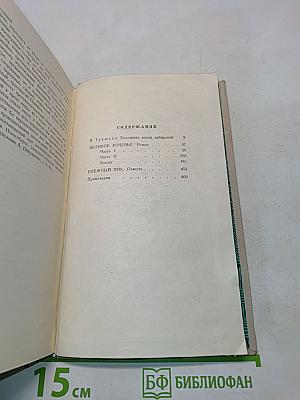 Великое кочевье. Снежный пик. Том первый