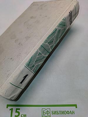 Великое кочевье. Снежный пик. Том первый