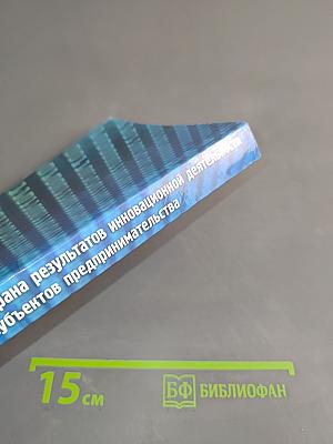 Охрана результатов инновационной деятельности субъектов предпринимательства