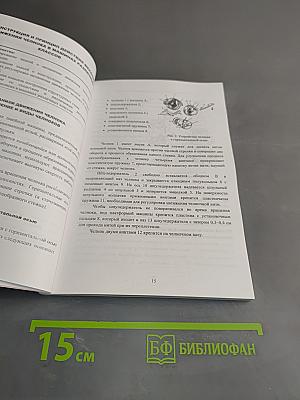 Оборудование швейного производства