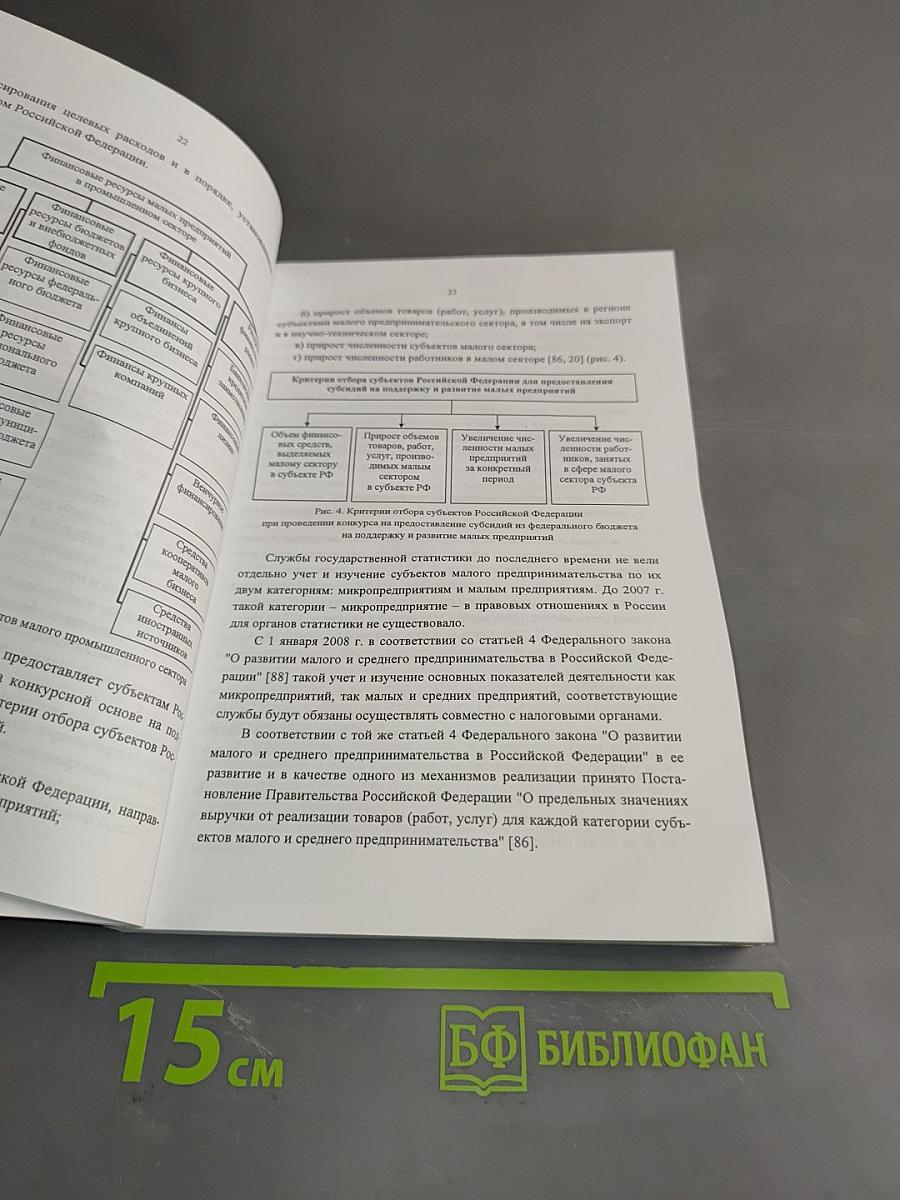 Государственное регулирование развития малых предприятий в промышленности России и за рубежом: методология, теория и практика