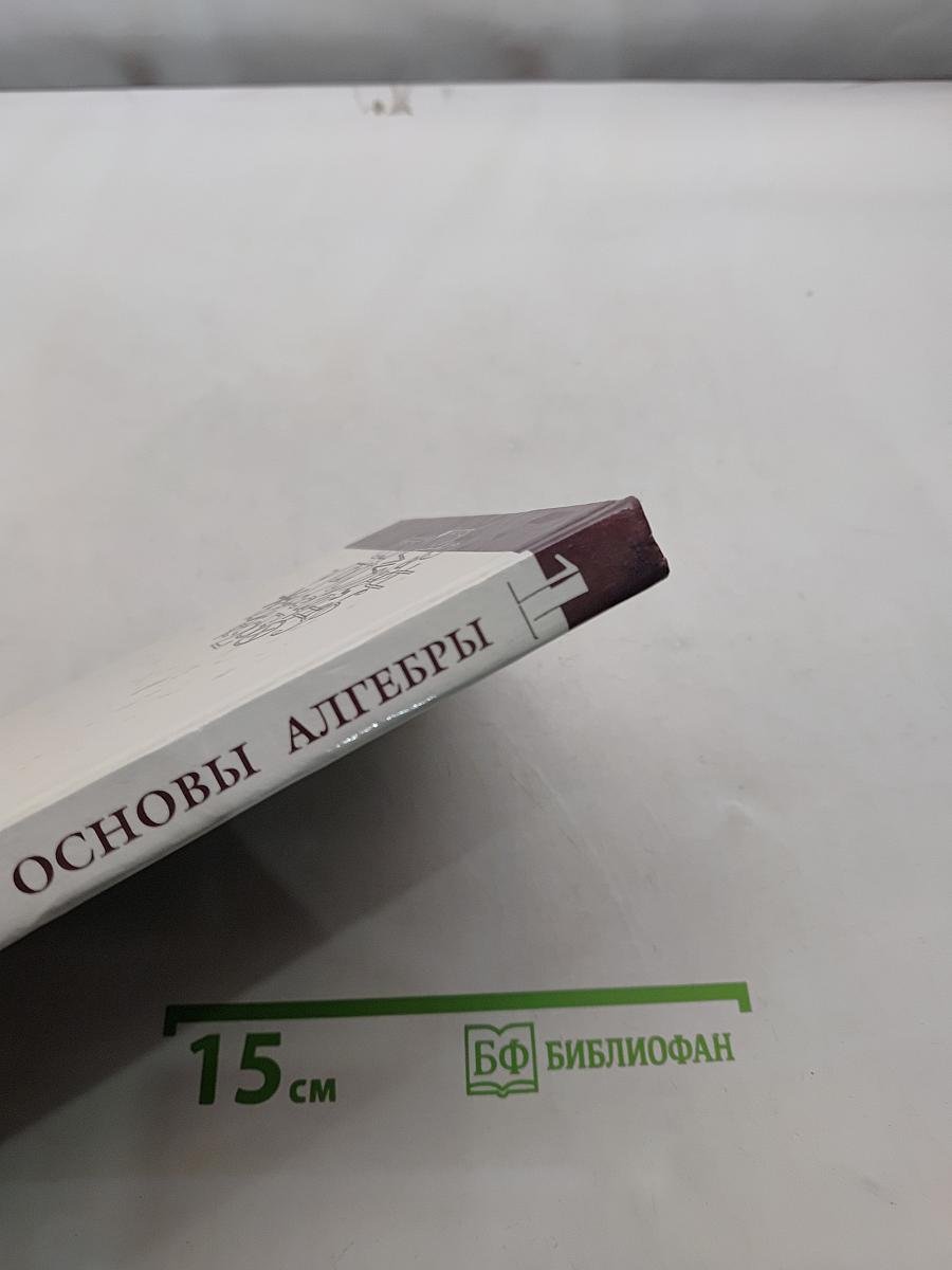 Введение в алгебру. Часть 1. Основы алгебры