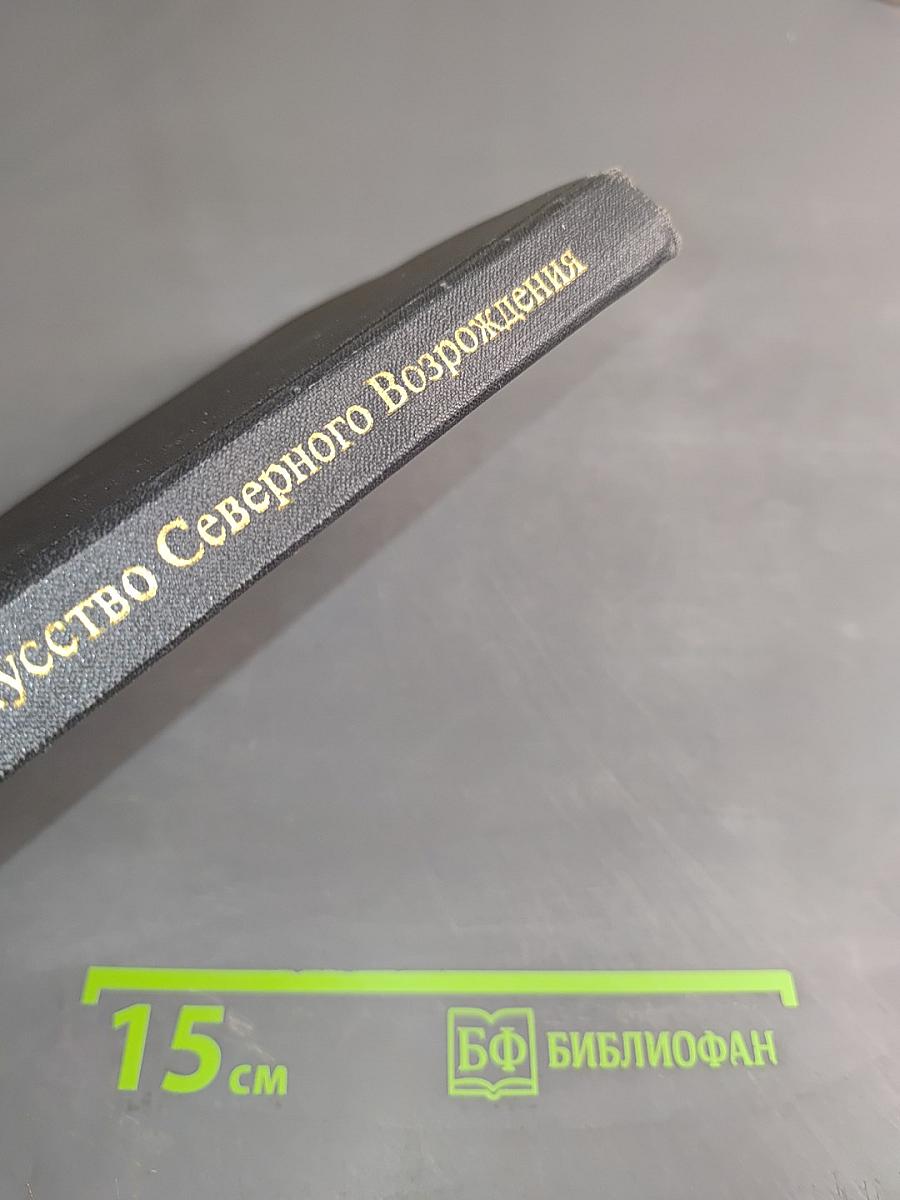 Искусство Северного Возрождения