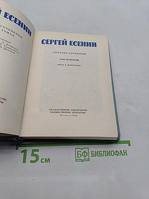 Собрание сочинений. Том четвертый. Проза и драматургия