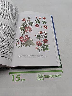 Основы декоративно-прикладного искусства
