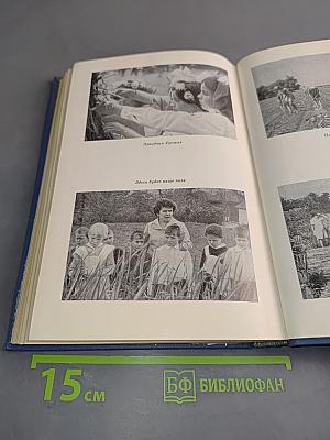Павлышская средняя школа
