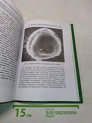 Фрактальная физика. Наука о мироздании