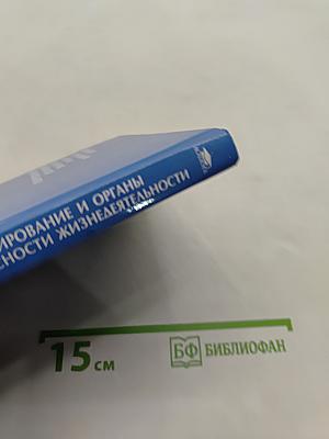 Правовое регулирование и органы обеспечения безопасности жизнедеятельности