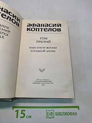 Навстречу жизни. Большой зачин. Том третий