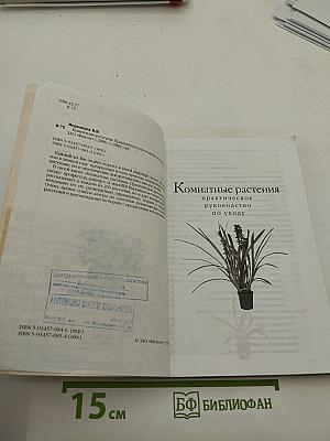 Комнатные растения: практическое руководство по уходу