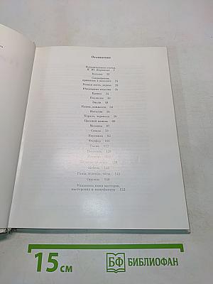 Прикладное искусство Италии в собрании Эрмитажа