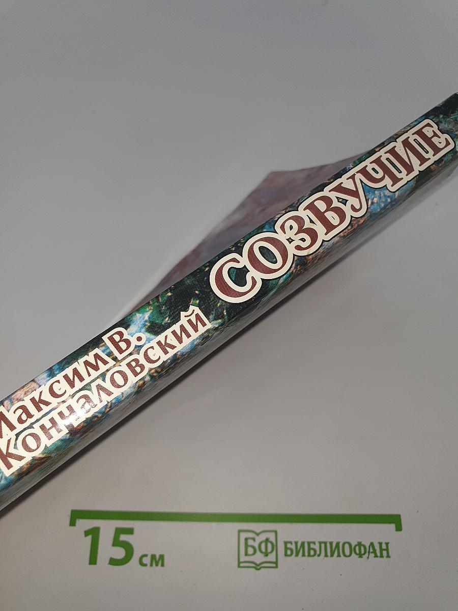 Созвучие