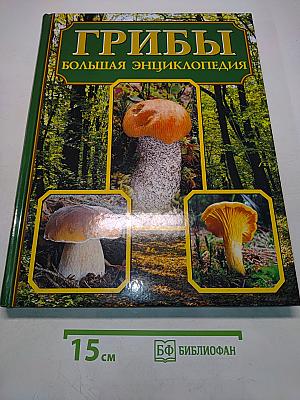 Грибы. Большая энциклопедия