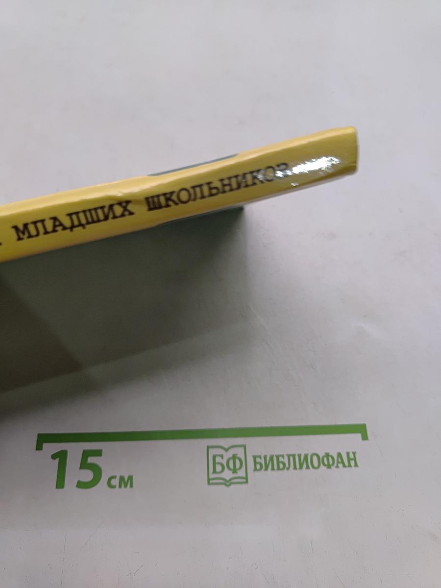 Методика трудового обучения младших школьников. Основы дизайн-образования
