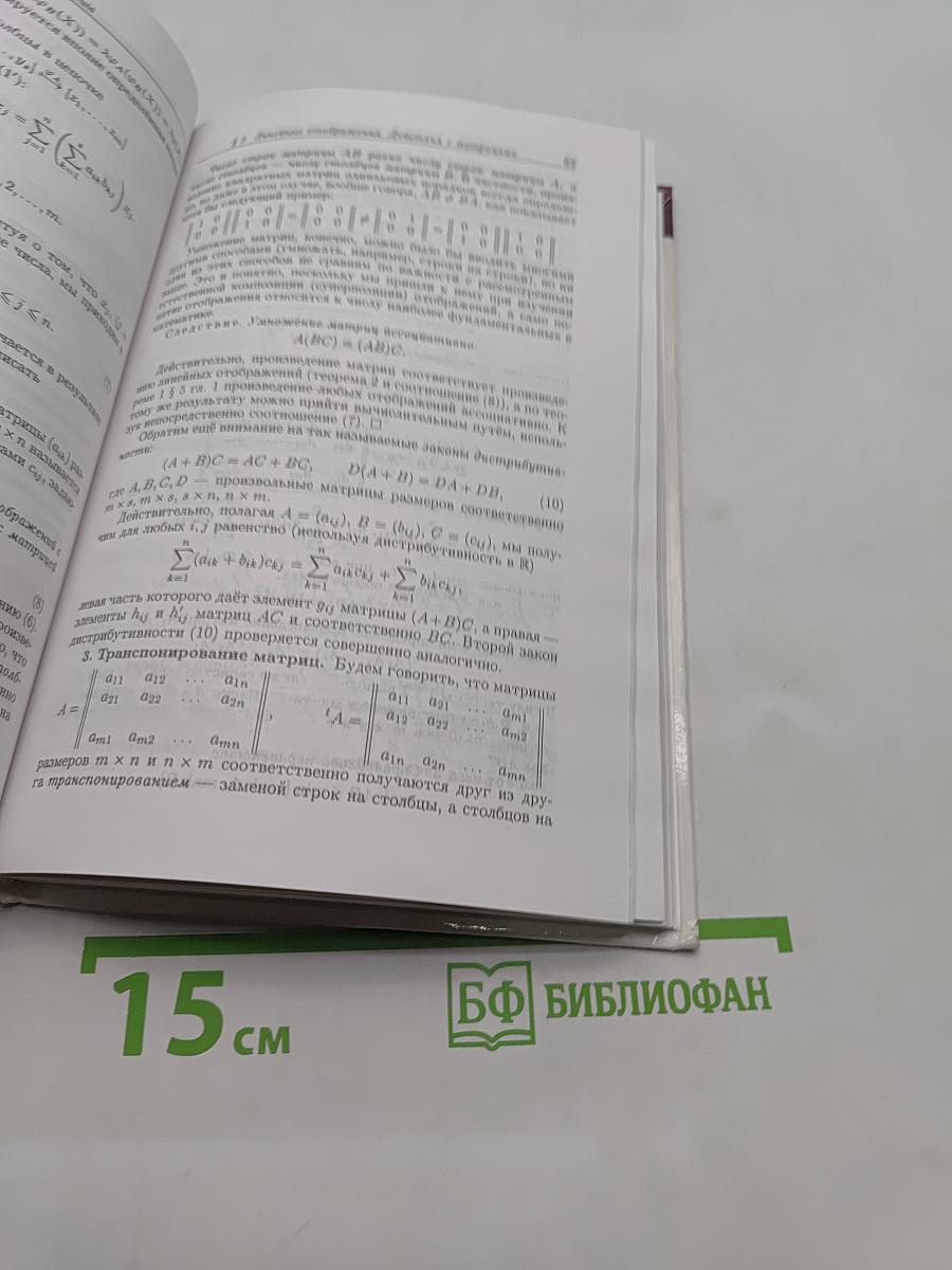 Введение в алгебру. Основы алгебры. Часть I