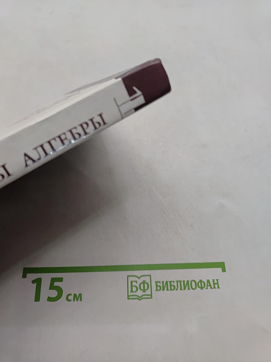 Введение в алгебру. Основы алгебры. Часть I