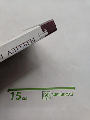 Введение в алгебру. Основы алгебры. Часть I