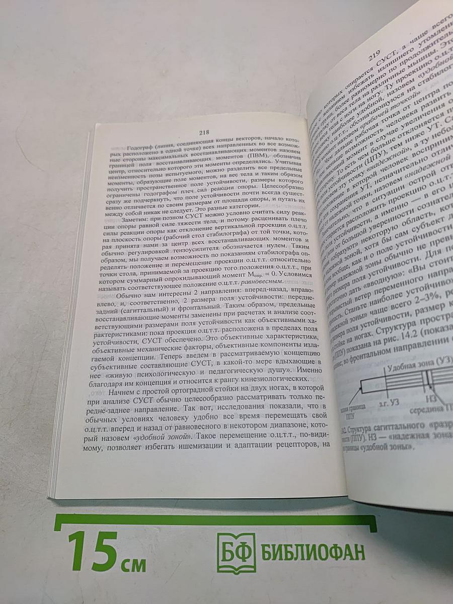 Основы спортивной кинезиологии