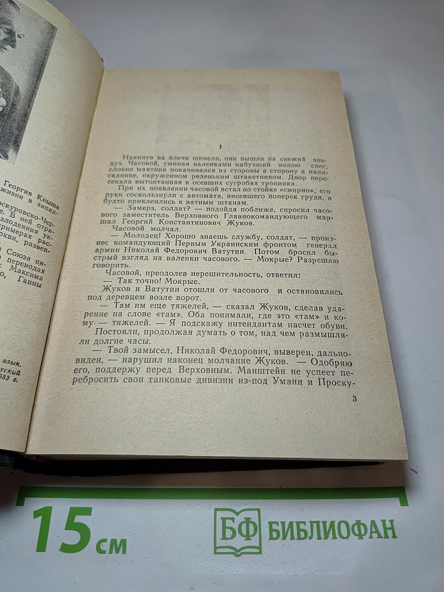 Гнездо