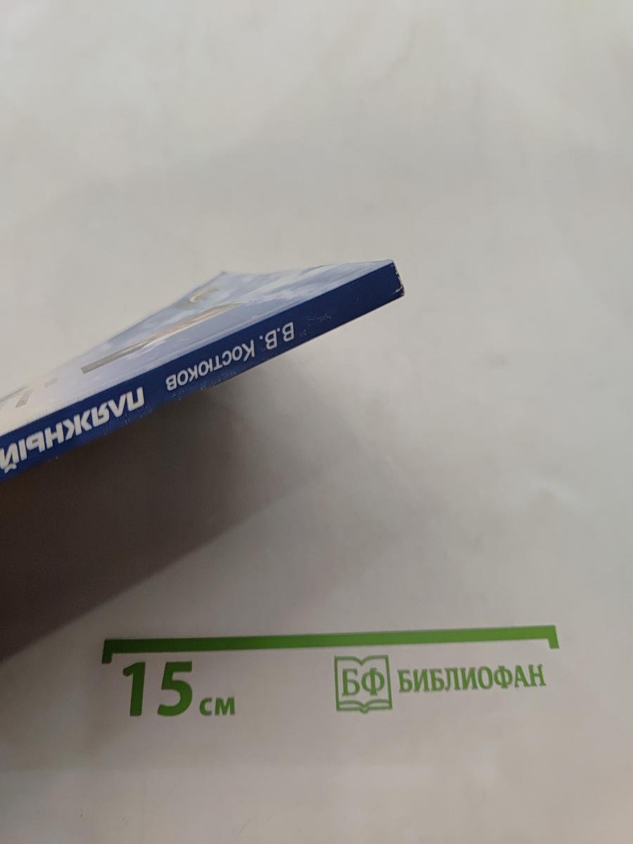 Пляжный волейбол. Тренировка, техника, тактика