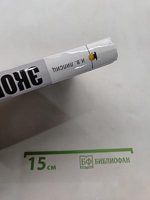 Экономика