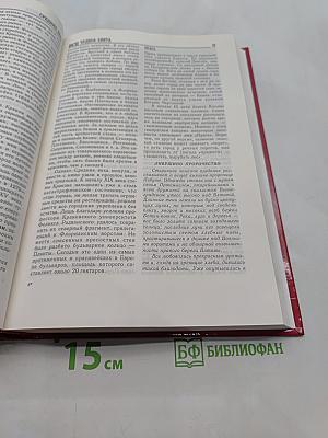 Средние века