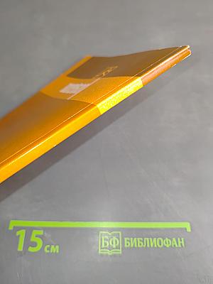 Волейбол. Программа