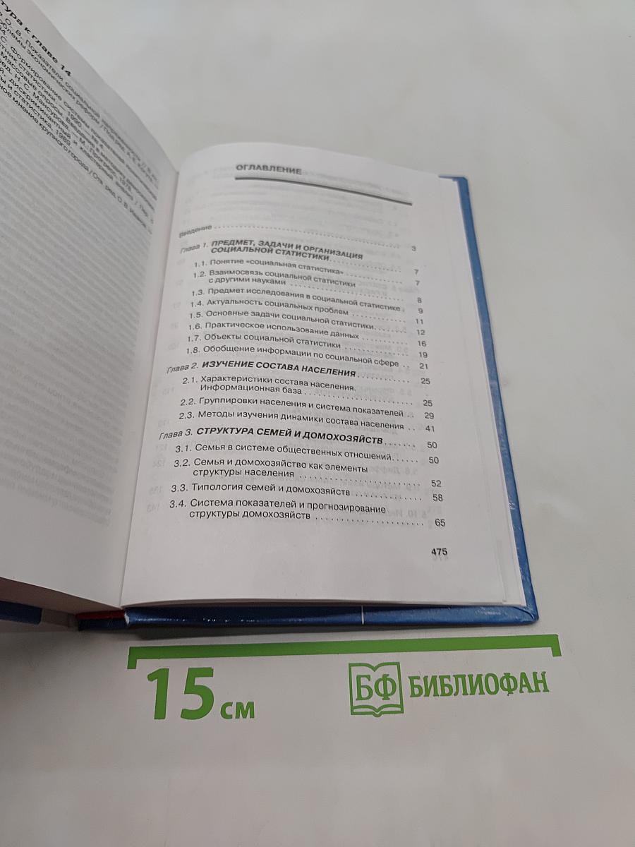 Социальная статистика