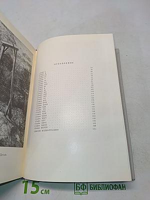 Питер Брейгель старший
