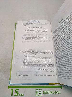 Методика трудового обучения младших школьников. Основы дизайн-образования