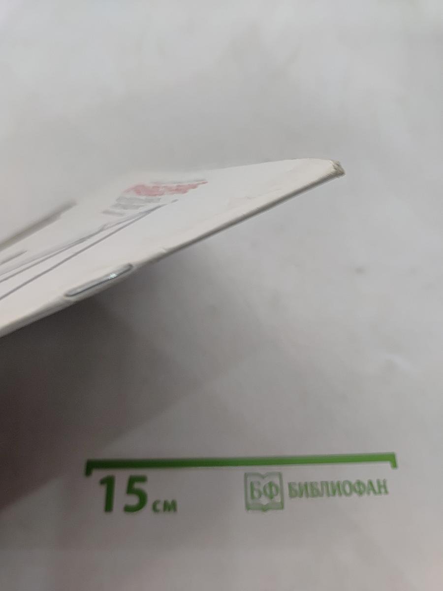 Краеведение. Наш город и область. Век двадцатый. Петербургская тетрадь. Часть 4