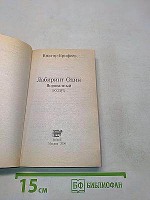 Лабиринт 1. Ворованный воздух