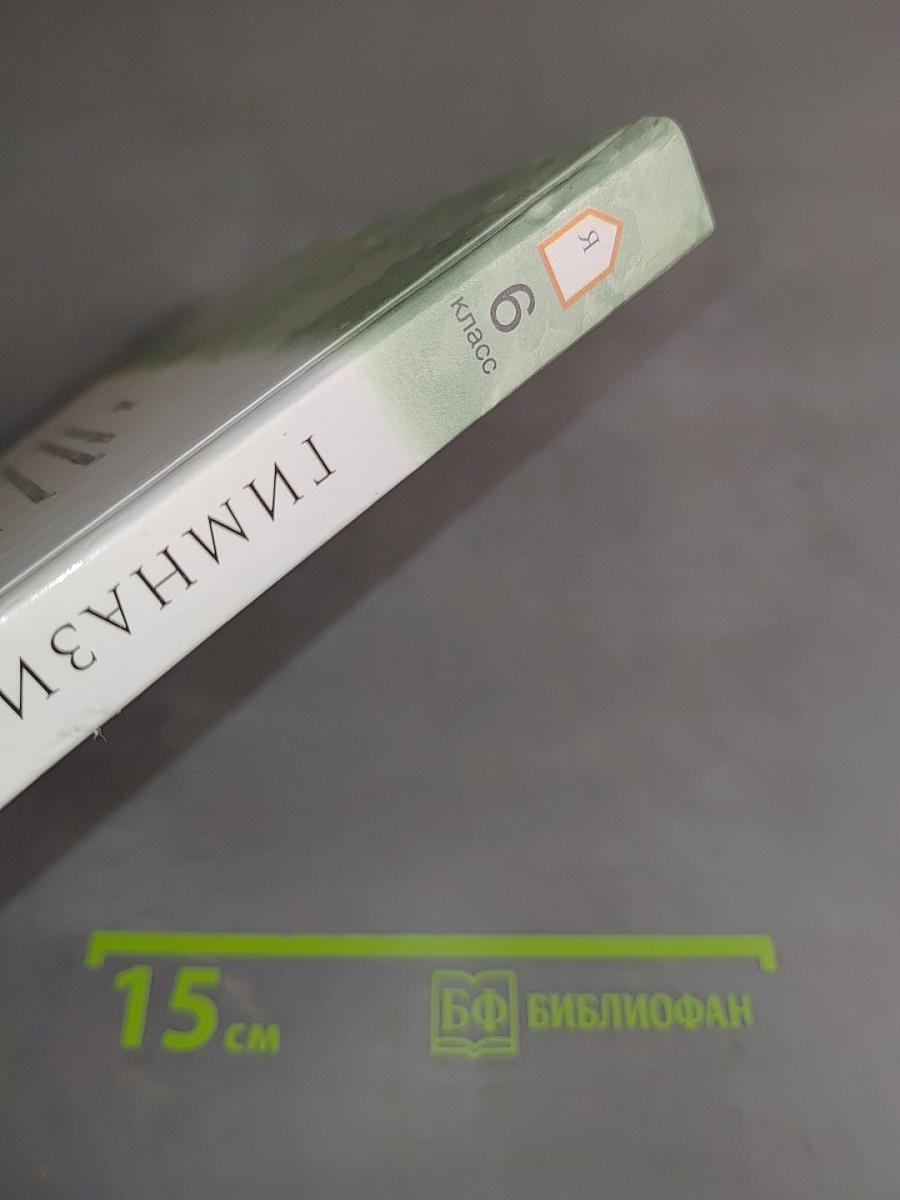 Русская литература. 6 класс. Часть 1. Учебное пособие