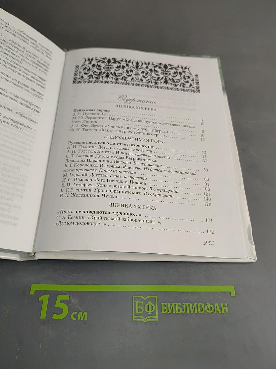 Русская литература. 6 класс. Часть 2. Учебное пособие