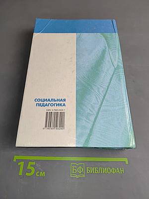 Социальная педагогика. Курс лекций