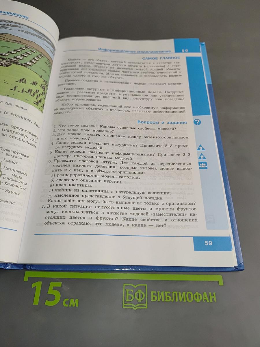 Информатика. 6 класс